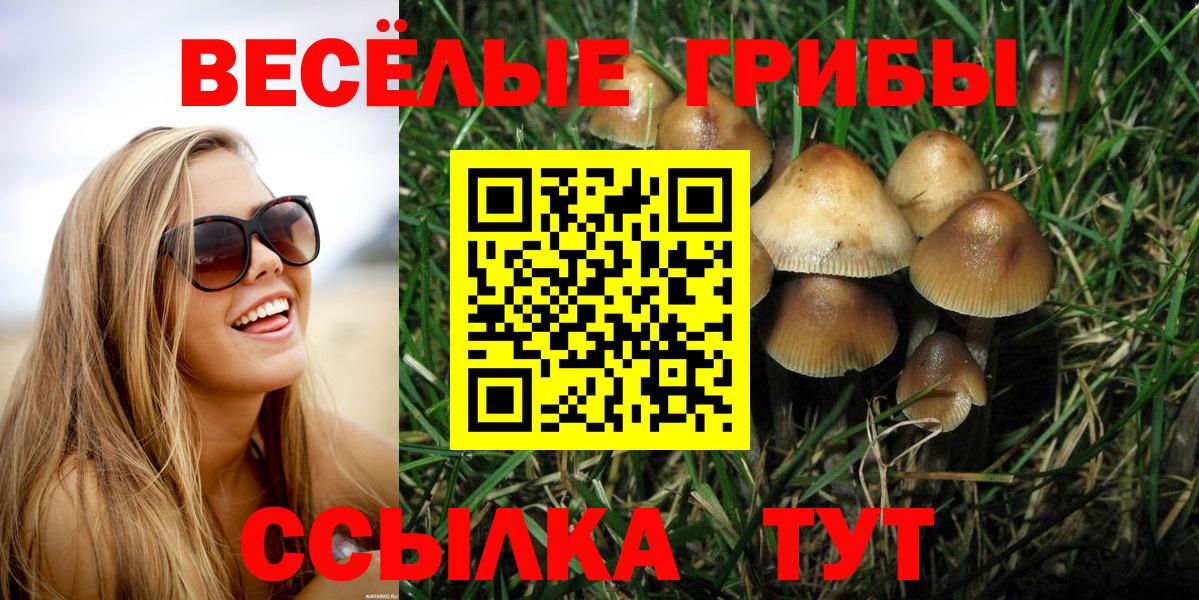 Псилоцибиновые грибы Cubensis  Вход с VPN  Кирово-Чепецк 