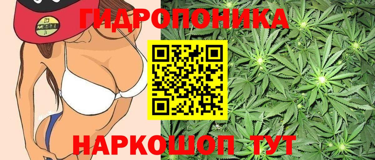 Бошки марихуана Amnesia Кирово-Чепецк